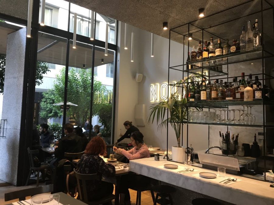 Gastronomicdiff Nolan (Medium)