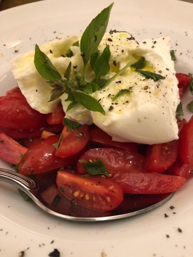 Gastronomicdiff Santalucia 2 (Medium)