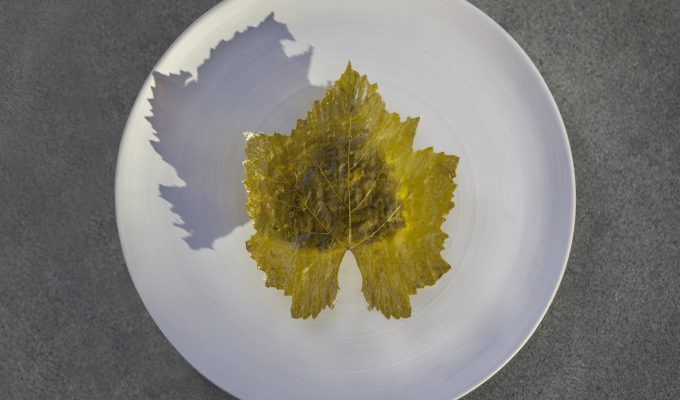 FUNKY GOURMET ΝΤΟΛΜΑΔΑΚΙ (2)