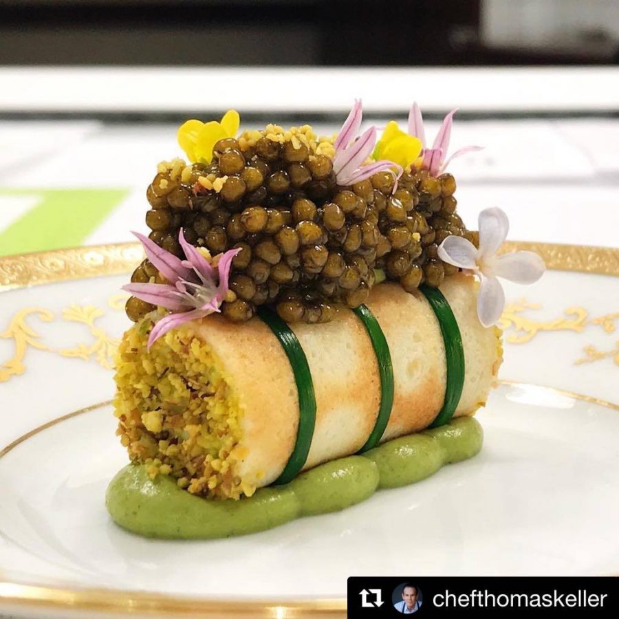 Gastronomicdiff Inspirations (8)