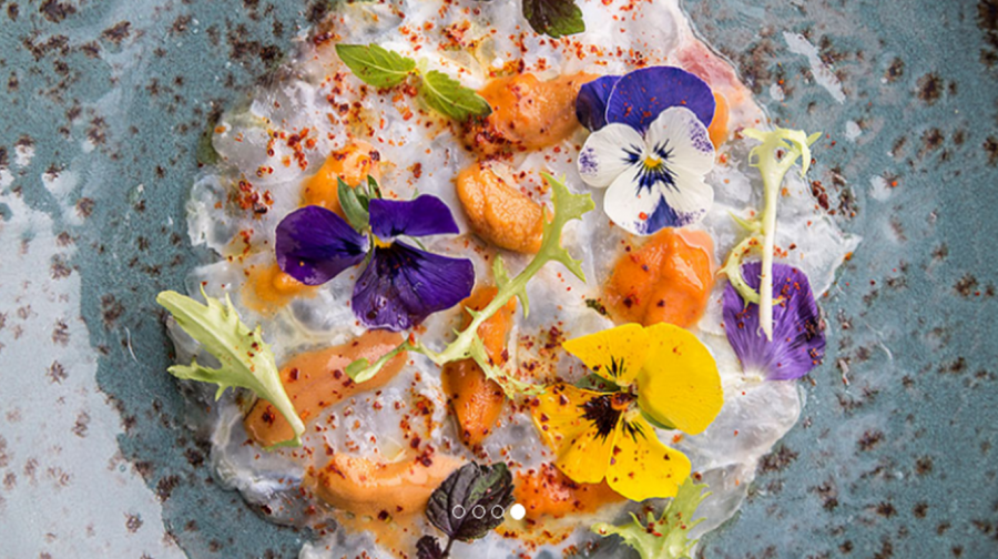 Gastronomicdiff Oyster Giakalis Recipe