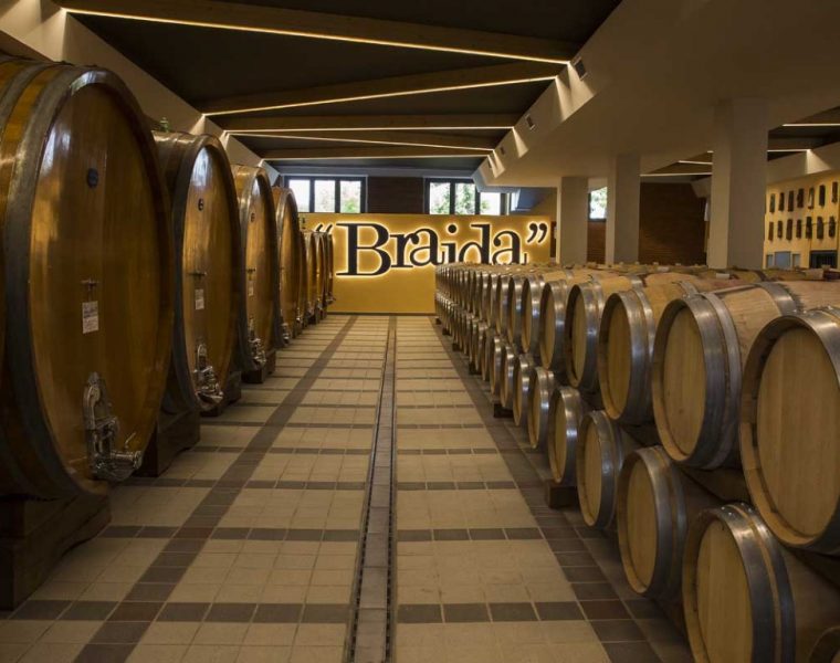 Gastronomicdiff Cantina6 Braida (Medium)