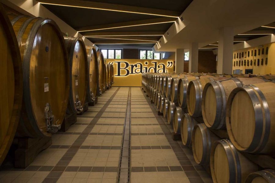 Gastronomicdiff Cantina6 Braida (Medium)