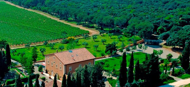 Gastronomicdiff Biserno