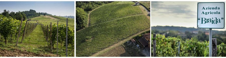 Gastronomicdiff Vigneti Braida