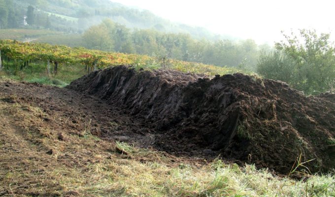 Cumulo Biodinamico 1024x733