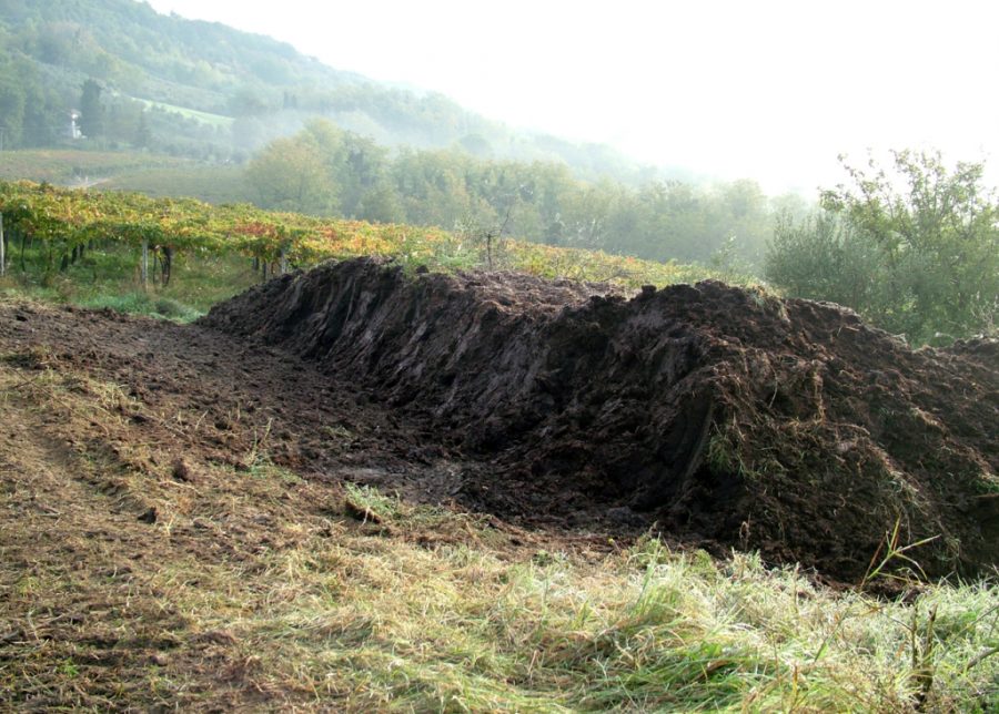 Cumulo Biodinamico 1024x733