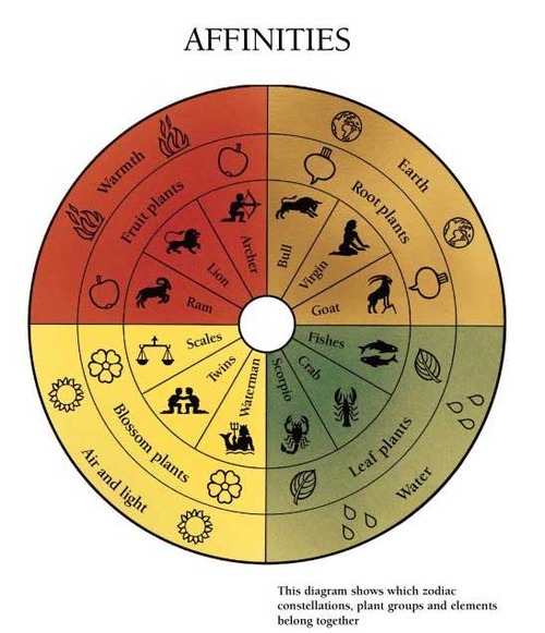 Biodynamic Affinities Scaled 500