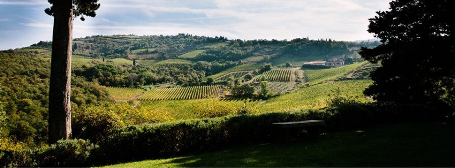 Gastronomicdiff Querciabella Photo