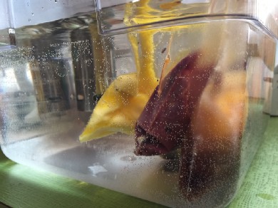 Gastronomic Diff Blumenthal Meatfruit