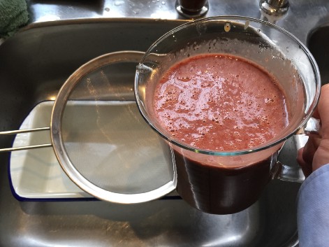 Gastronomic Diff Meatfruit Heston