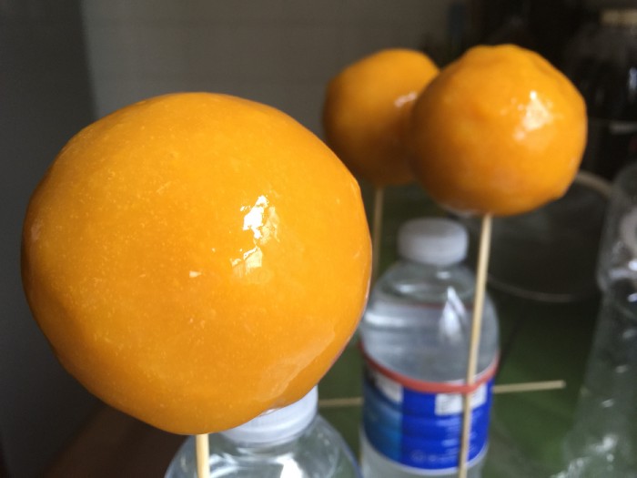 Gastronomicdiff Meatfruit Heston