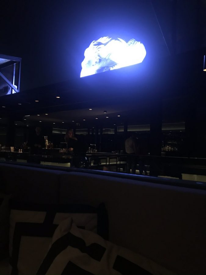 GastronomicDiff Privilege 13