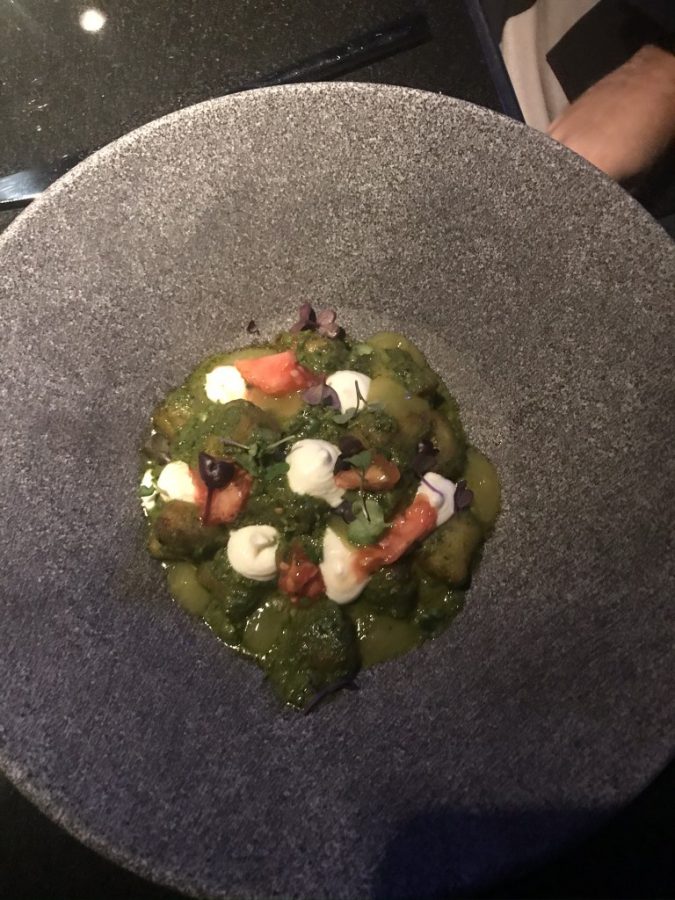 GastronomicDiff Privilege 8