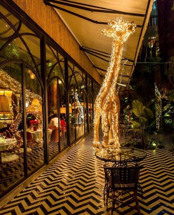 Gastronomicdiff Amazonico 13