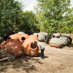 Gastronomicdiff Firstwine