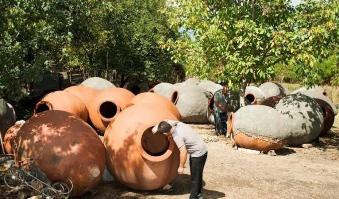 Gastronomicdiff Firstwine