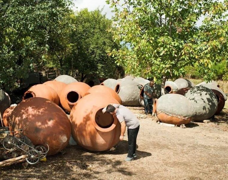 Gastronomicdiff Firstwine