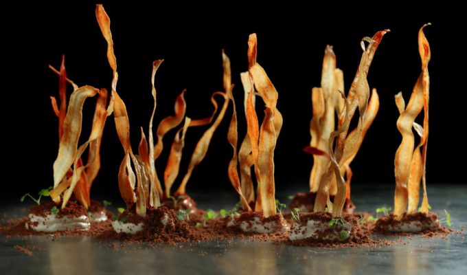 Salsify στο χώμα (Medium)