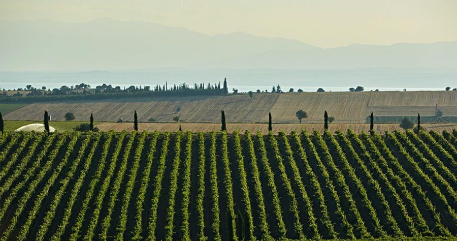 WhatsApp Image 2020 04 24 At 12.03.30 PM