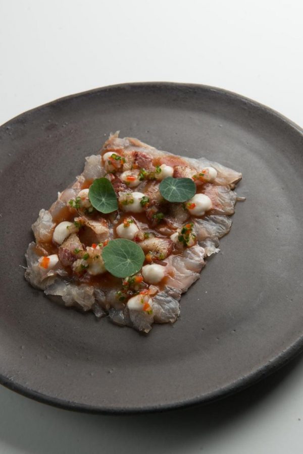 Gastronomicdiff Simul Nikos Thomas 2