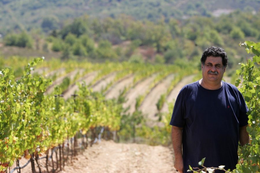 Gastronomicdiff Tselepos Wine 1