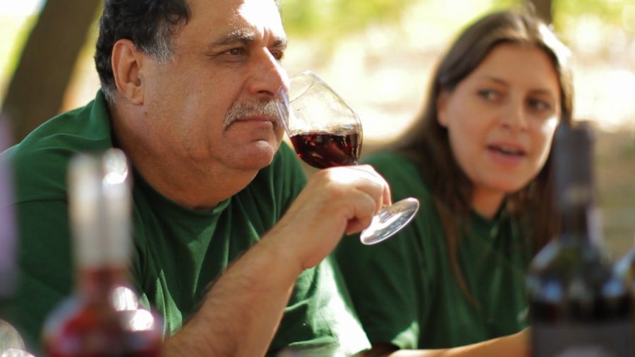 Gastronomicdiff Tselepos Wine 13