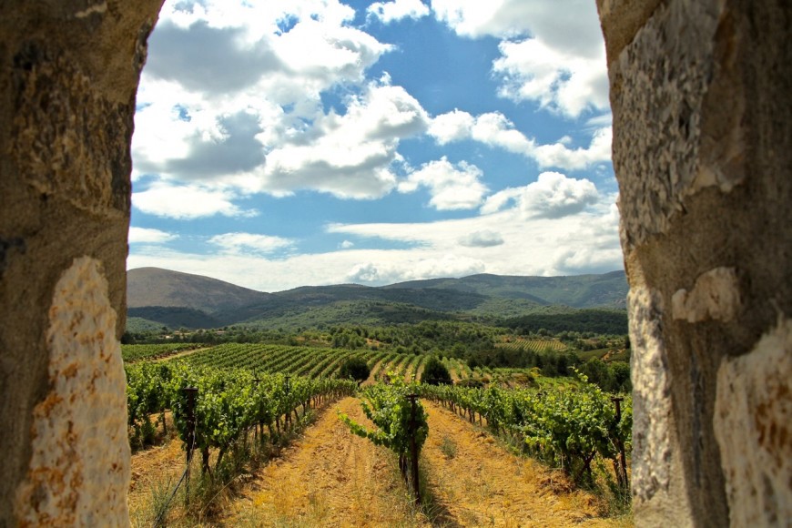 Gastronomicdiff Tselepos Wine 4