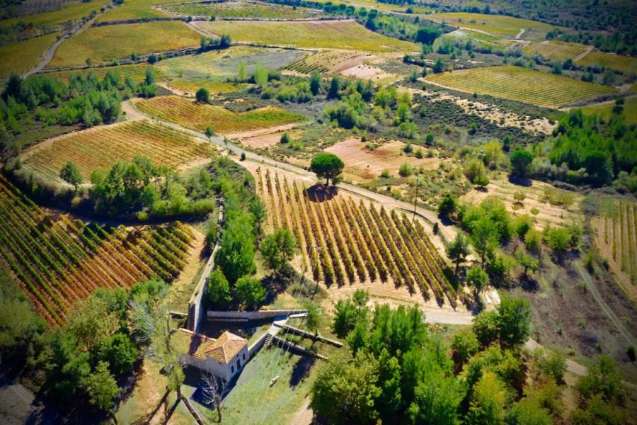 Gastronomicdiff Tselepos Wine 9