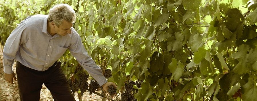 Gastronomicdiff Vangelis Gerovasiliou Wines 8